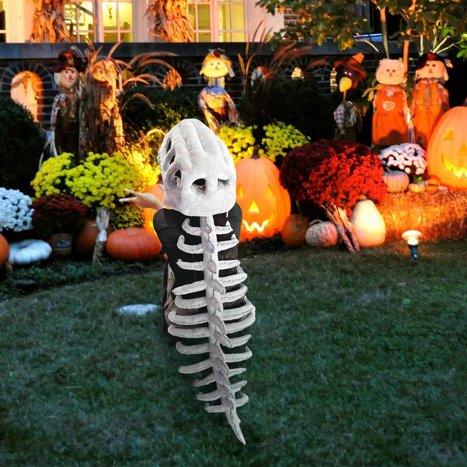 Kids Dinosaur Skeleton