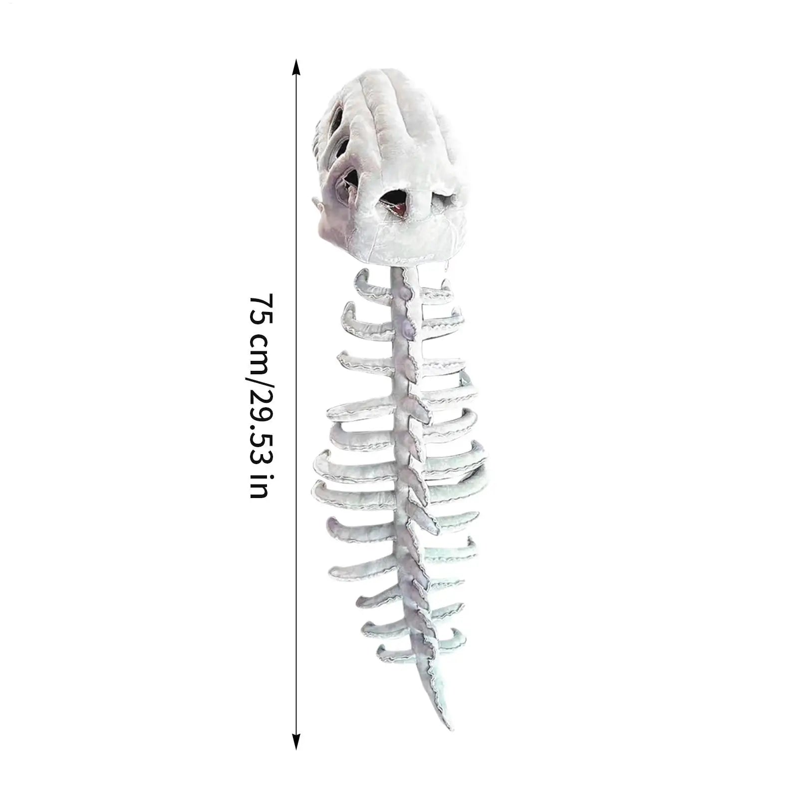 Kids Dinosaur Skeleton