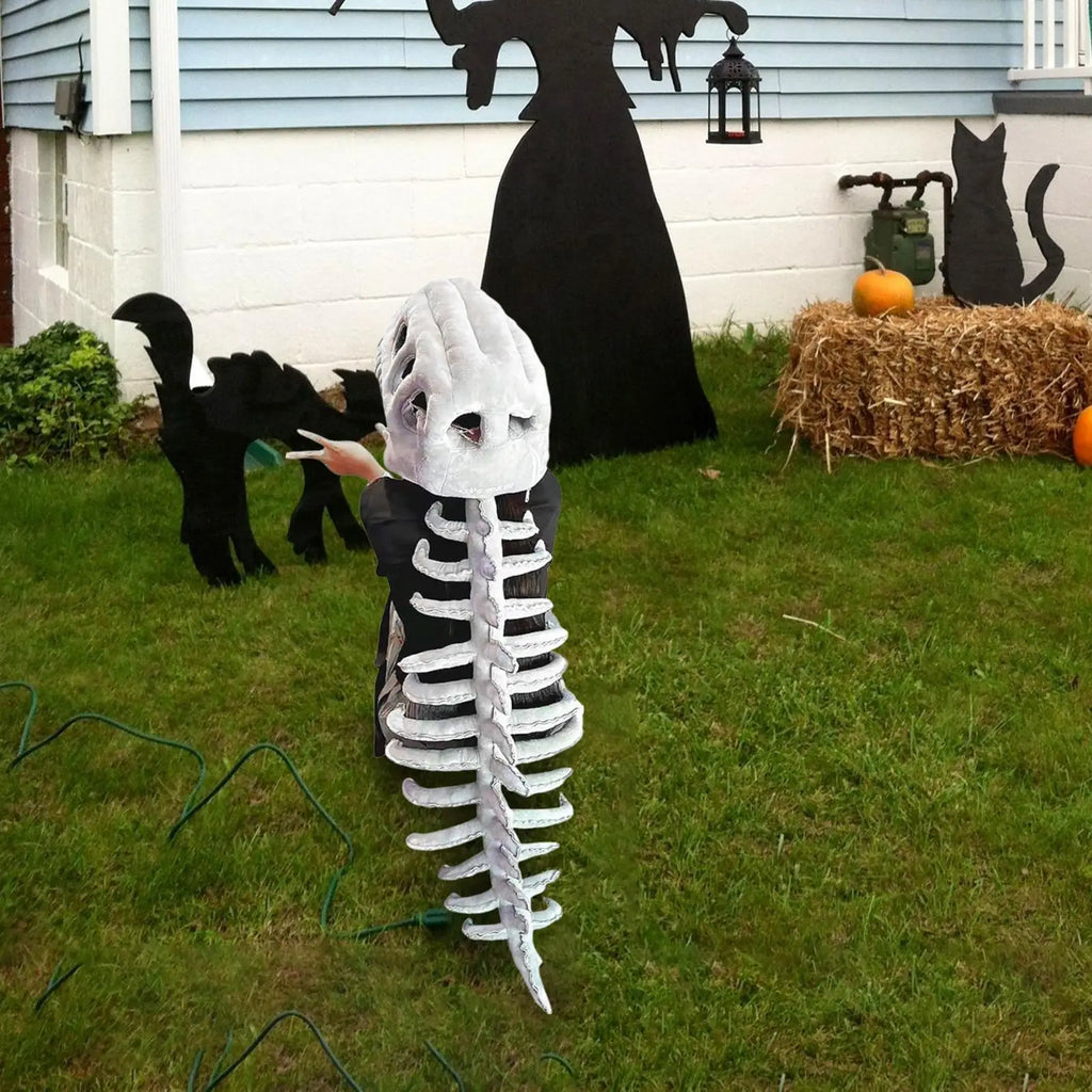 Kids Dinosaur Skeleton